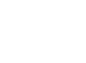 VAGY_logo